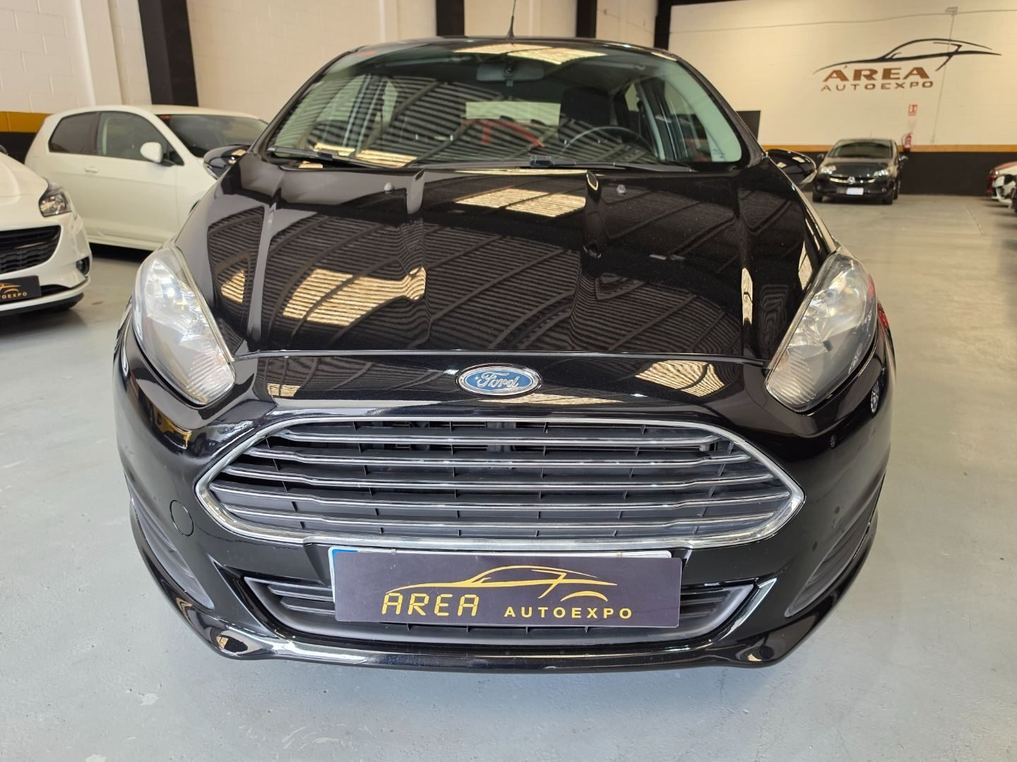 FORD FIESTA 1.25 DURATEC TREND